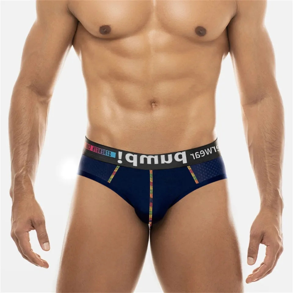 New Pump Mesh Brief